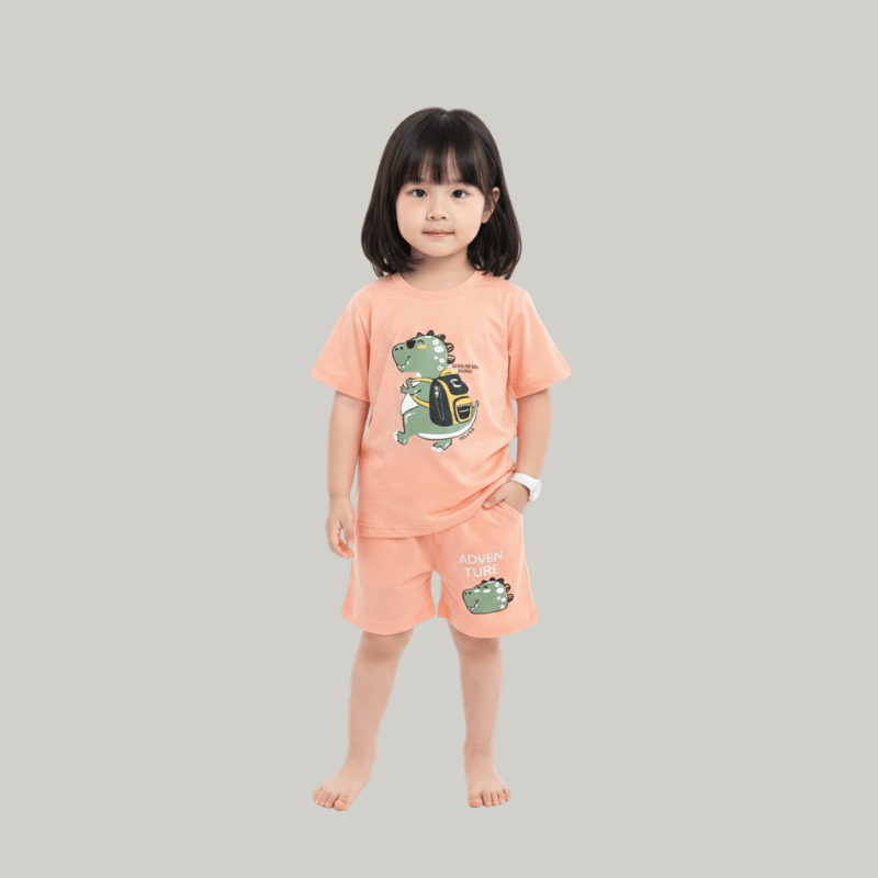 Tiny Zoo Tshirt and Pant