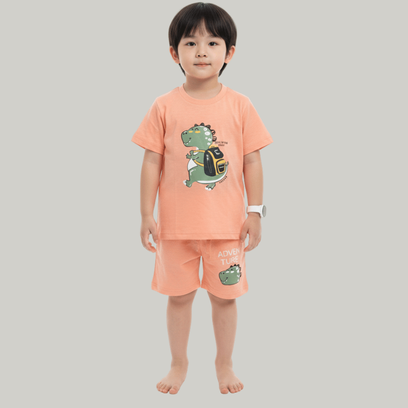 Tiny Zoo Tshirt and Pant