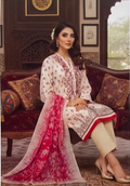 Premium Pakistani dress SF-A-415