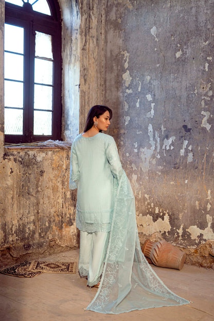 Guzel Sitara Luxury Organza Collection - Asmaan