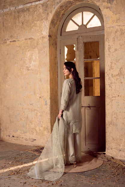 Guzel Sitara Luxury Organza Collection - Noori