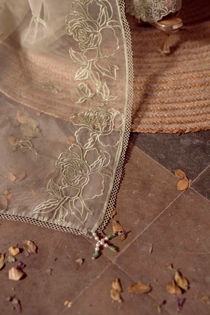 Guzel Sitara Luxury Organza Collection - Noori