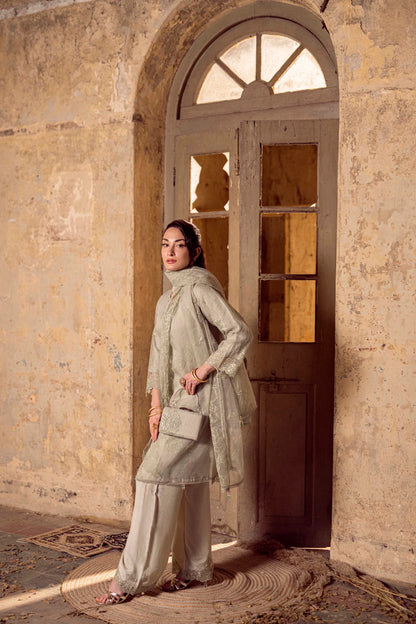 Guzel Sitara Luxury Organza Collection - Noori