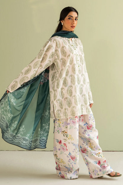 Coco Prints - Piasley